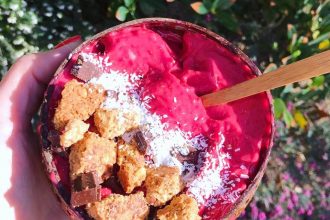 Nice cream aux fruits healthy